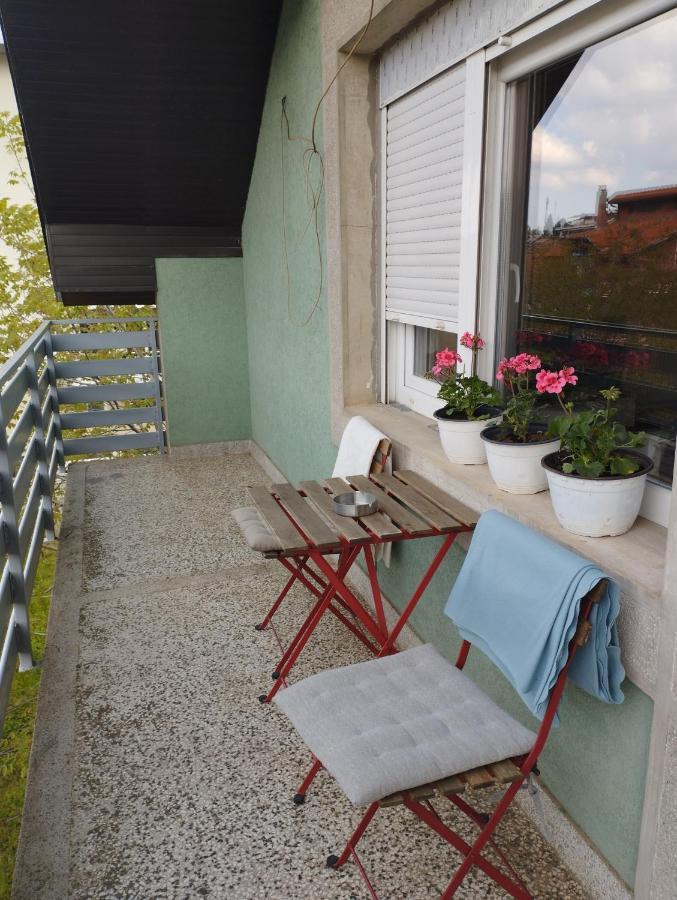 Apartman Aleksandra Σμεντέρεβο Εξωτερικό φωτογραφία