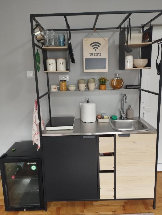 Apartman Aleksandra Σμεντέρεβο Εξωτερικό φωτογραφία